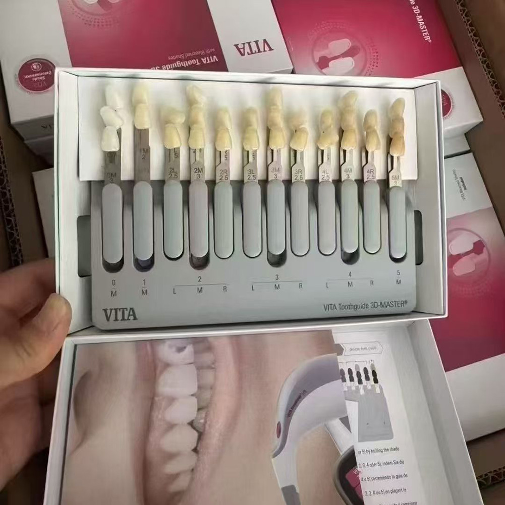 4 модели VITA Toothguide: Стом – обзор и цена 3D Printing Dental